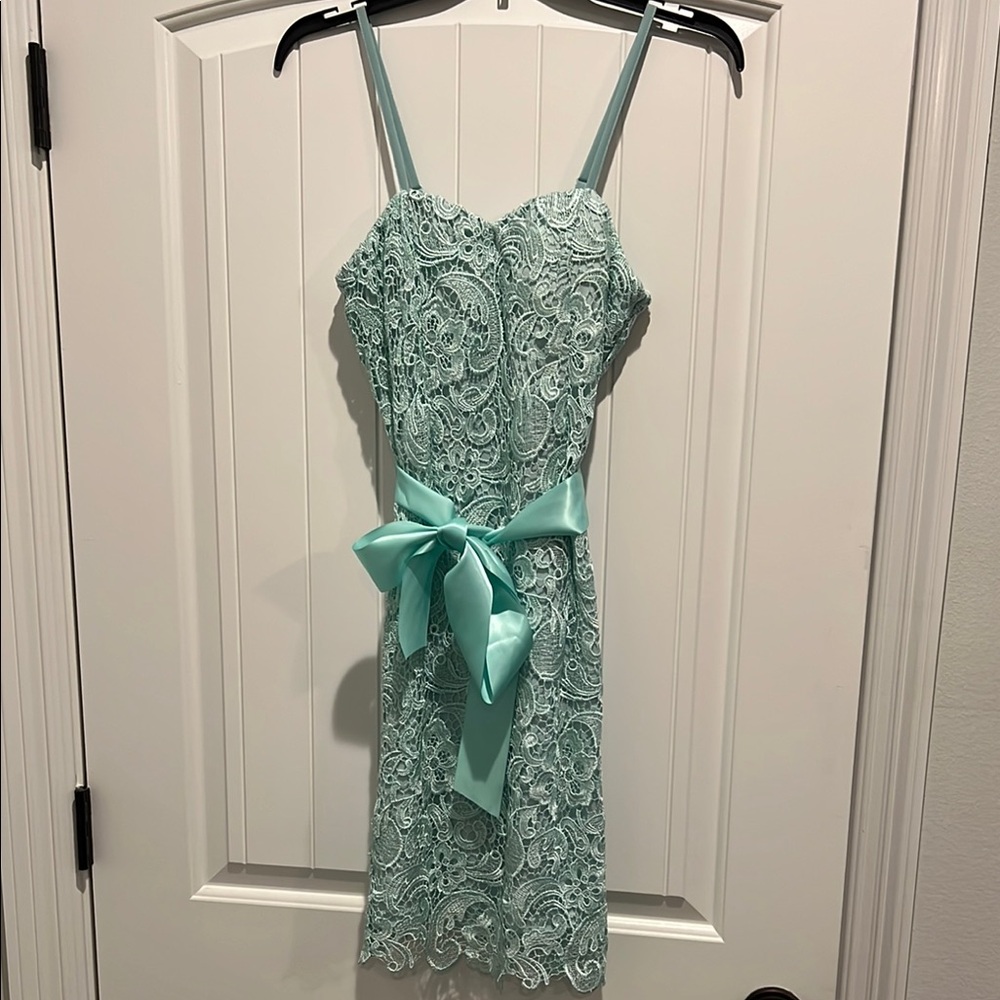 Elegant Lace Dress in Mint Green